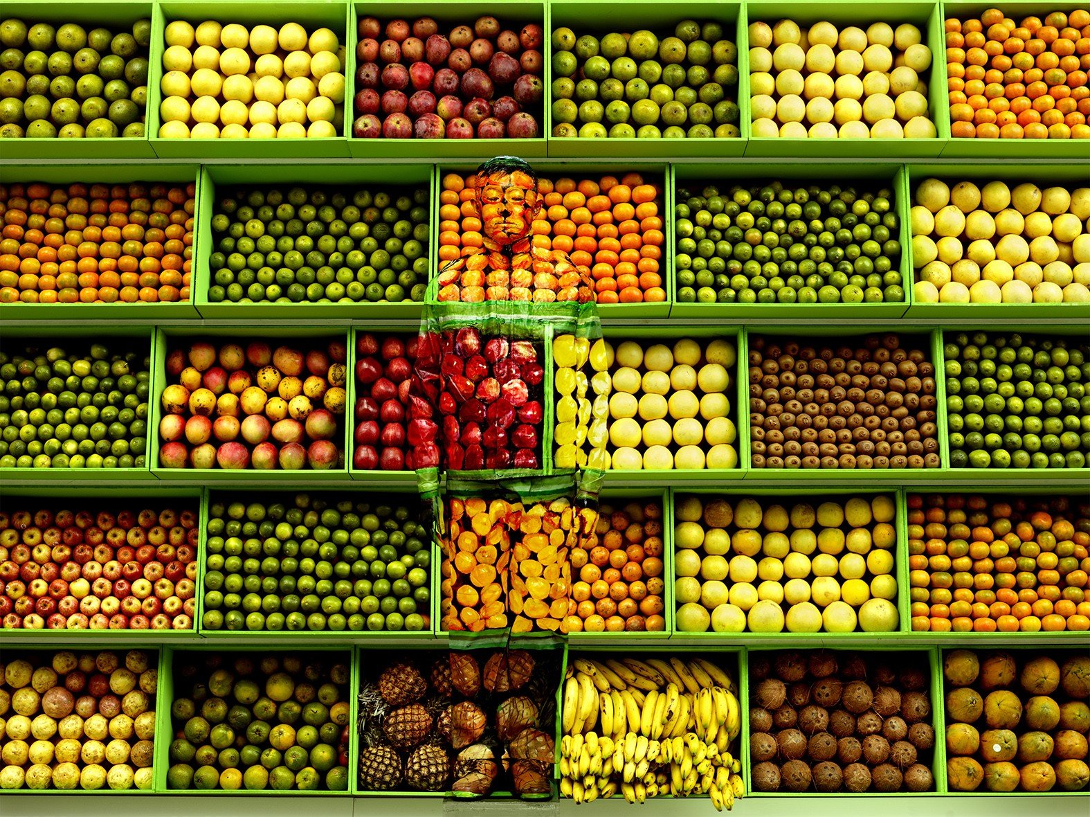 Liu Bolin