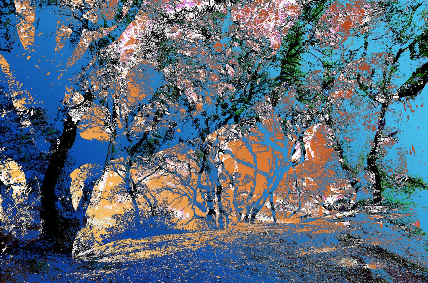 Artwork 3